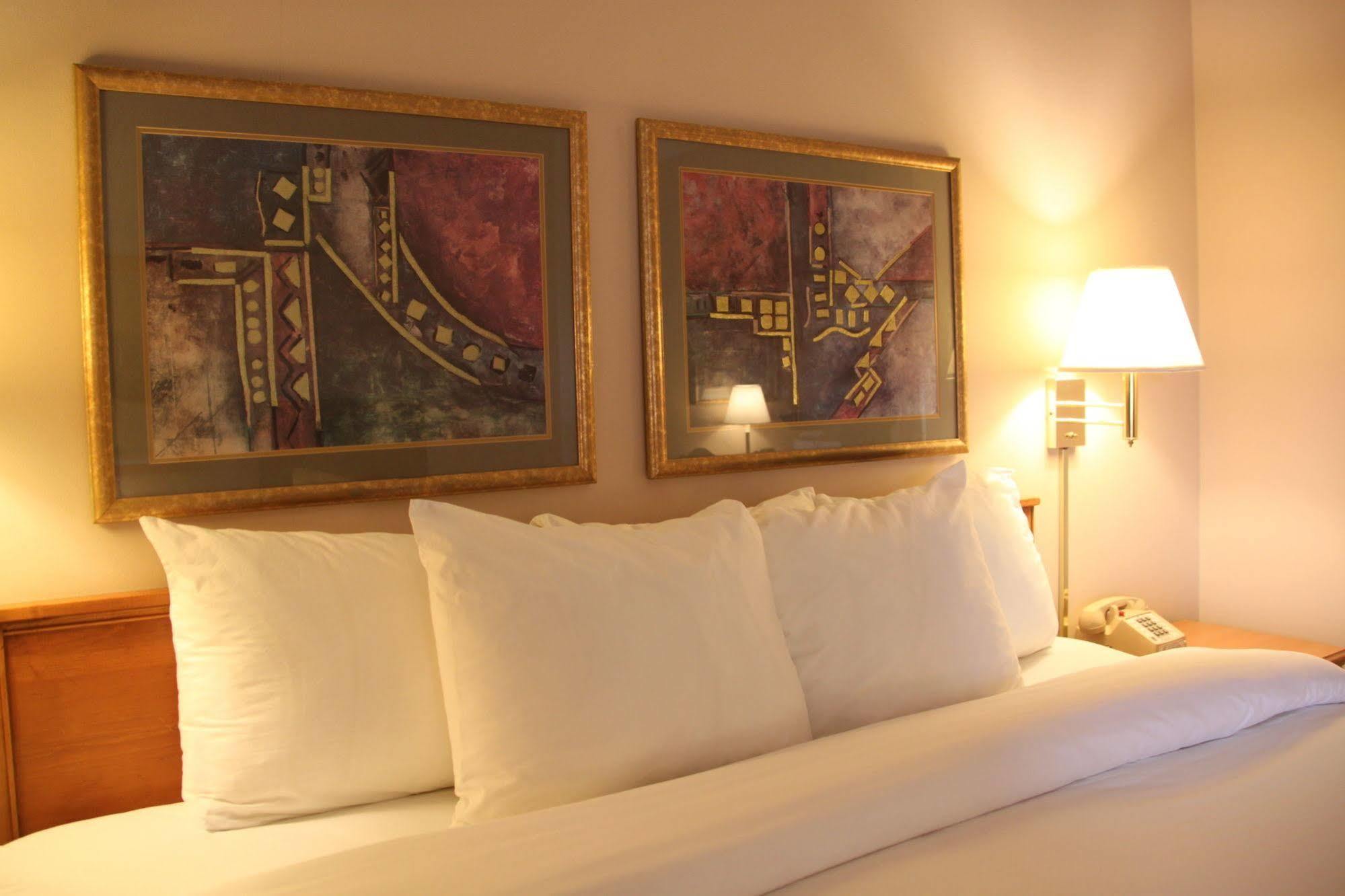 Holiday Inn Express - Canton By Ihg Bagian luar foto